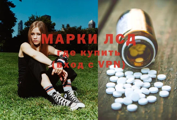 амф Аркадак